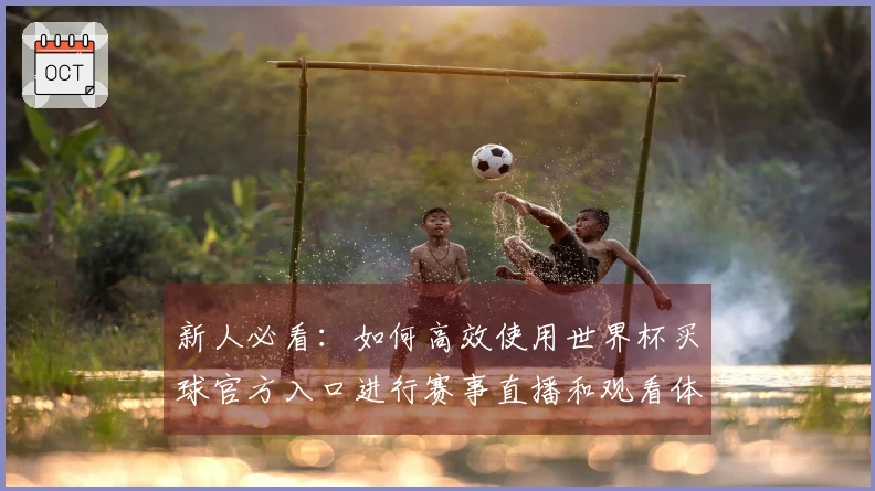新人必看：如何高效使用世界杯买球官方入口进行赛事直播和观看体验提升