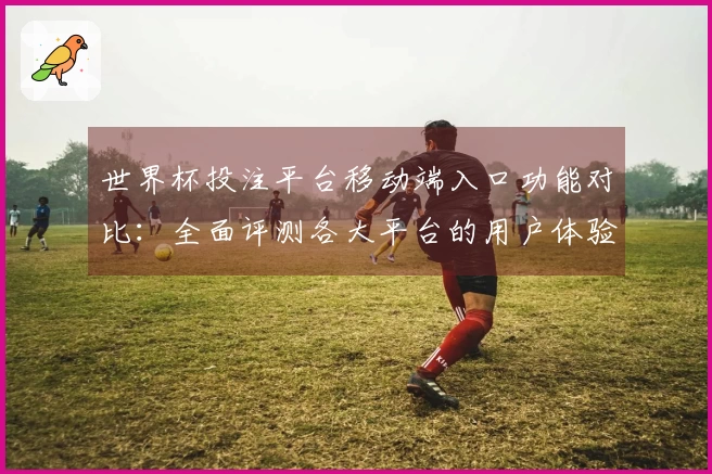 世界杯投注平台移动端入口功能对比：全面评测各大平台的用户体验与优缺点