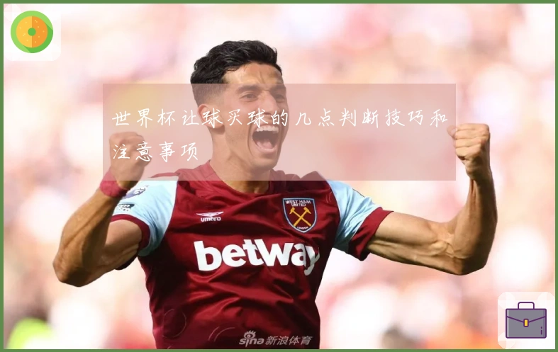 世界杯让球买球的几点判断技巧和注意事项