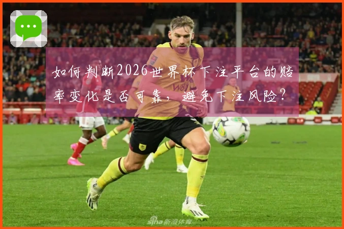 如何判断2026世界杯下注平台的赔率变化是否可靠，避免下注风险？
