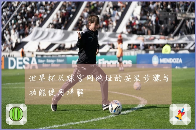 世界杯买球官网地址的安装步骤与功能使用详解