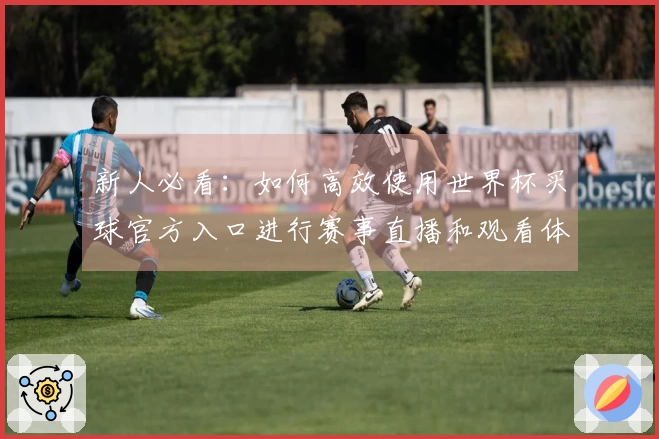 新人必看：如何高效使用世界杯买球官方入口进行赛事直播和观看体验提升