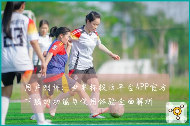 用户测评:世界杯投注平台APP官方下载的功能与使用体验全面解析