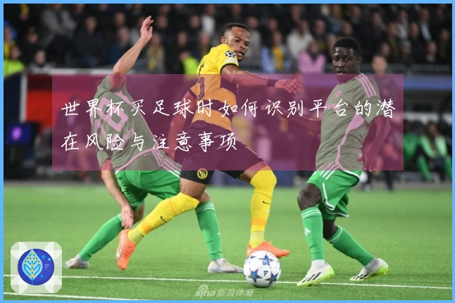 世界杯买足球时如何识别平台的潜在风险与注意事项