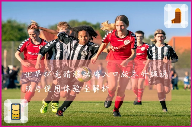 世界杯竞猜移动端入口版本升级说明与使用体验全解析