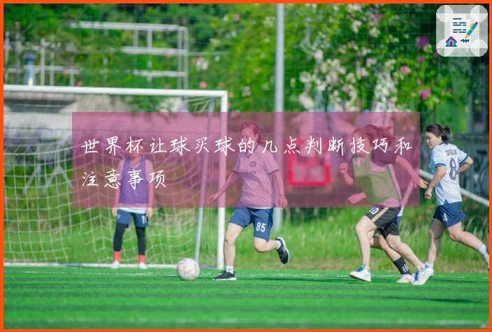 世界杯让球买球的几点判断技巧和注意事项
