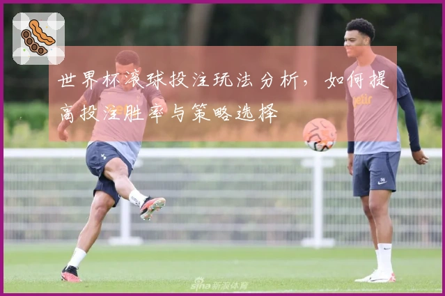 世界杯滚球投注玩法分析，如何提高投注胜率与策略选择