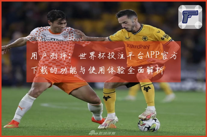 用户测评：世界杯投注平台APP官方下载的功能与使用体验全面解析