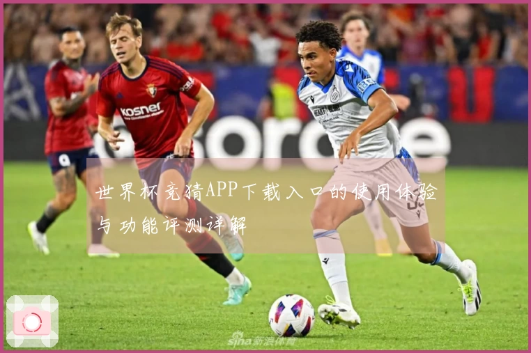 世界杯竞猜APP下载入口的使用体验与功能评测详解